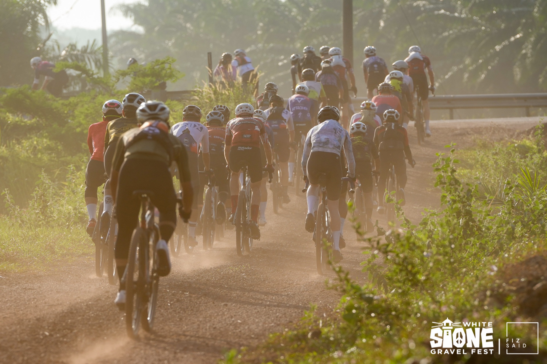 A gravel peloton climbing a dusty farm track through palms in low morning sun