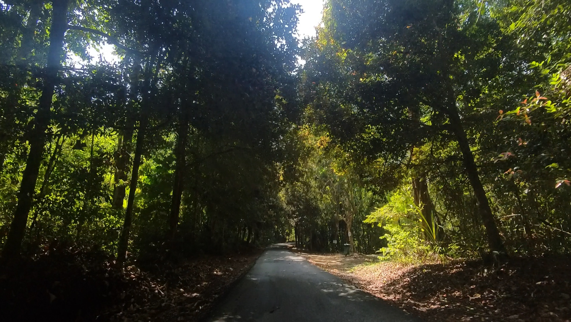 Papan to Hutan Lipur Falls — scene 4 (mixed cycling in Papan, Perak)