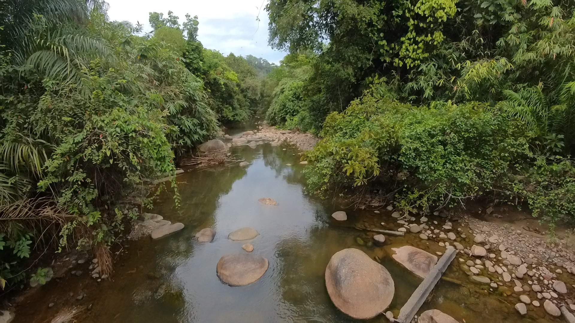 Ulu Kinta Dam Gravel Loop — scene 2 (mixed cycling in Ulu Kinta, Perak)